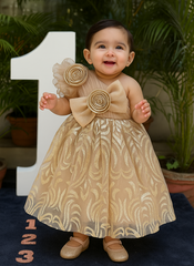 Golden 1st Birthday Dress for Baby Girl | Designer Party Frock – WHIZZO
