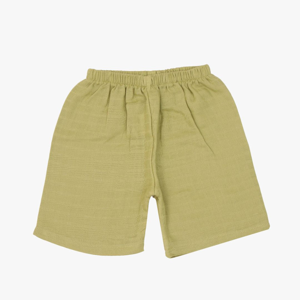 Collared Co-ord sets Olive For 6 Months to 5 Years