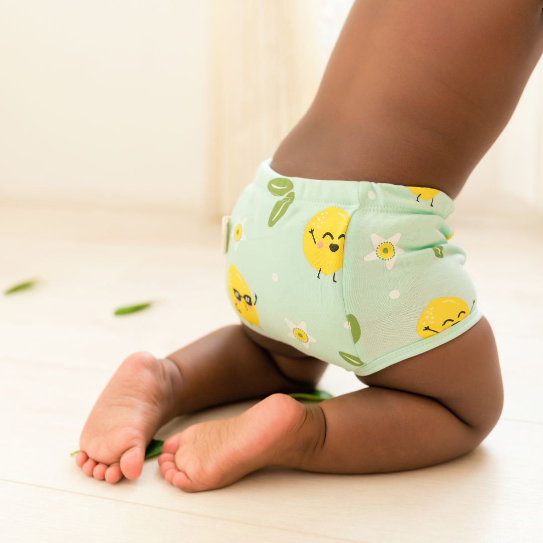 1-2 Years (Pack of 5)  - Ultra Undies - Baby Padded Underwear