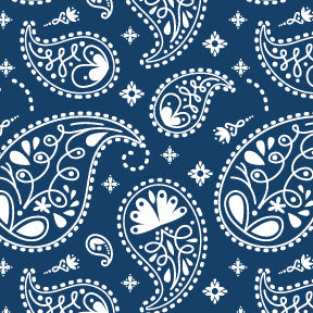 Indigo - Newborn Cloth Diaper 2.0 with 1 cotton Insert (2 kg - 5 kg)